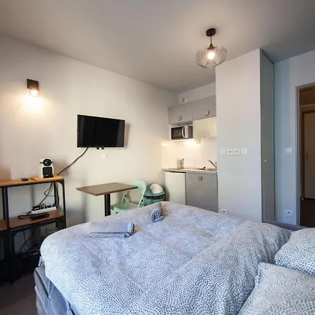 Le Petit Hector -studio Cosy Avec Parking -debourg Lyon