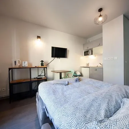 Apartment Le Petit Hector -studio Cosy Avec Parking -debourg Lyon